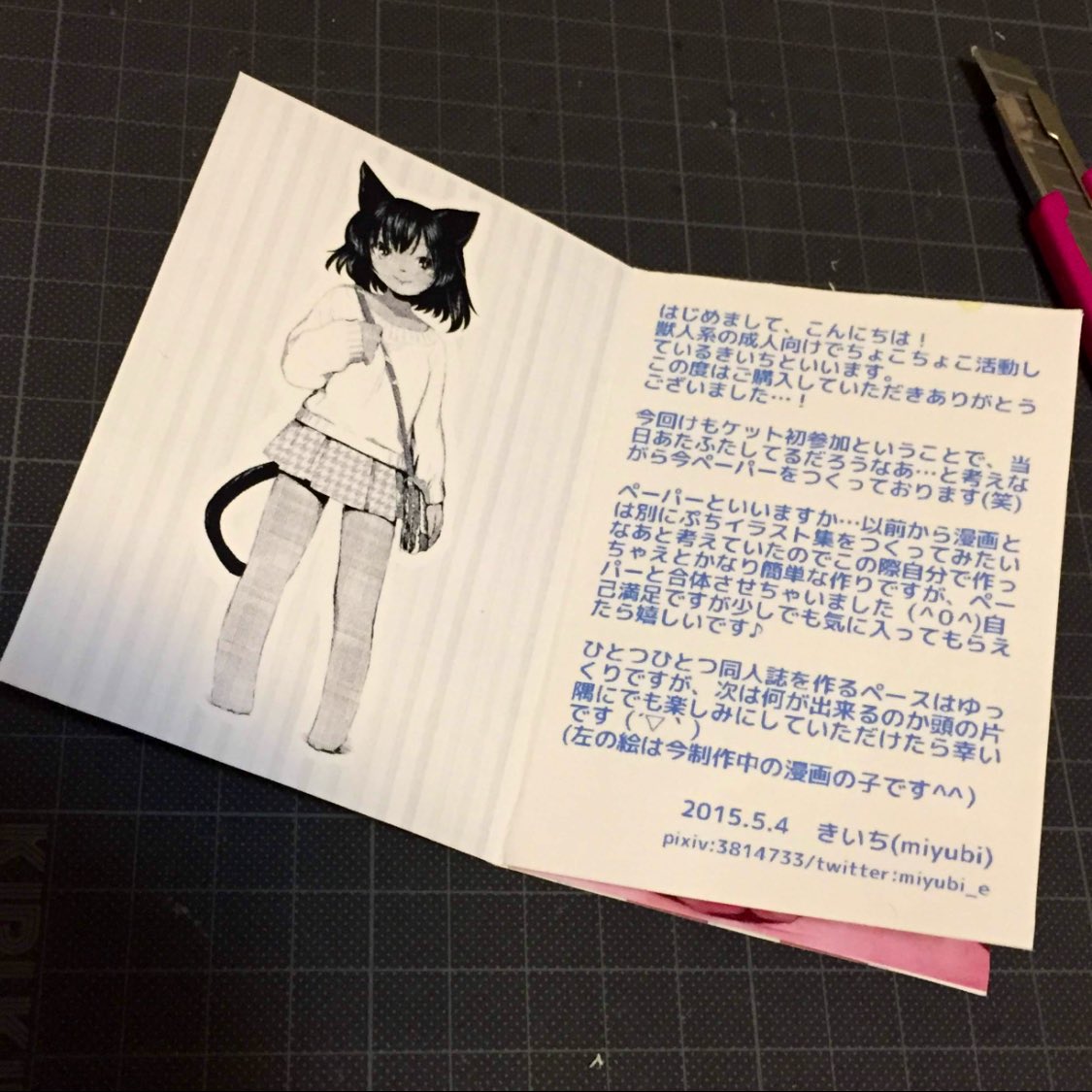 けもケサークル初参加のとき小さいイラスト本兼ペーパーを自作した時のデータが…出てきた…! 