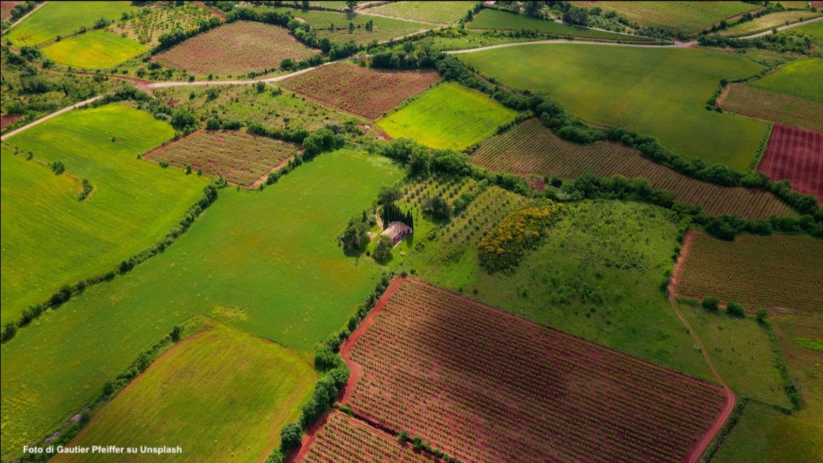 Dopo il boom di Generazione Terra, Ismea rilancia con BTA - mailchi.mp/803fd1631403/d…