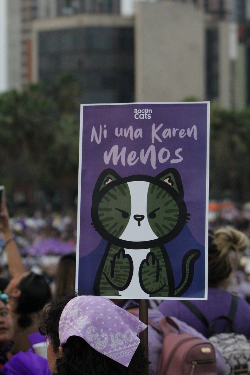 PurpleWomanFem's tweet photo. 💜💚 8M Monterrey, Nuevo León, MX.

#8m #8marzo #monterrey #diadelamujer #feminist #feminismo https://t.co/K6kAm5IGlJ