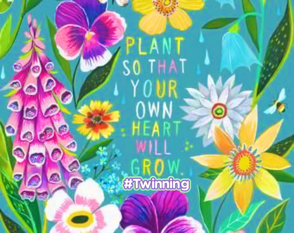 Plant love💚 let it sprout 🌞🌸🍃🌿🪴🍄🌳🌱
Much respect for All the Cultivators out there🫶🏻🫵🏻🌻#GrowingTogether #GrowYourOwn #PlantLove #StayingLifted #Twins420 #Twintouched✌🏻