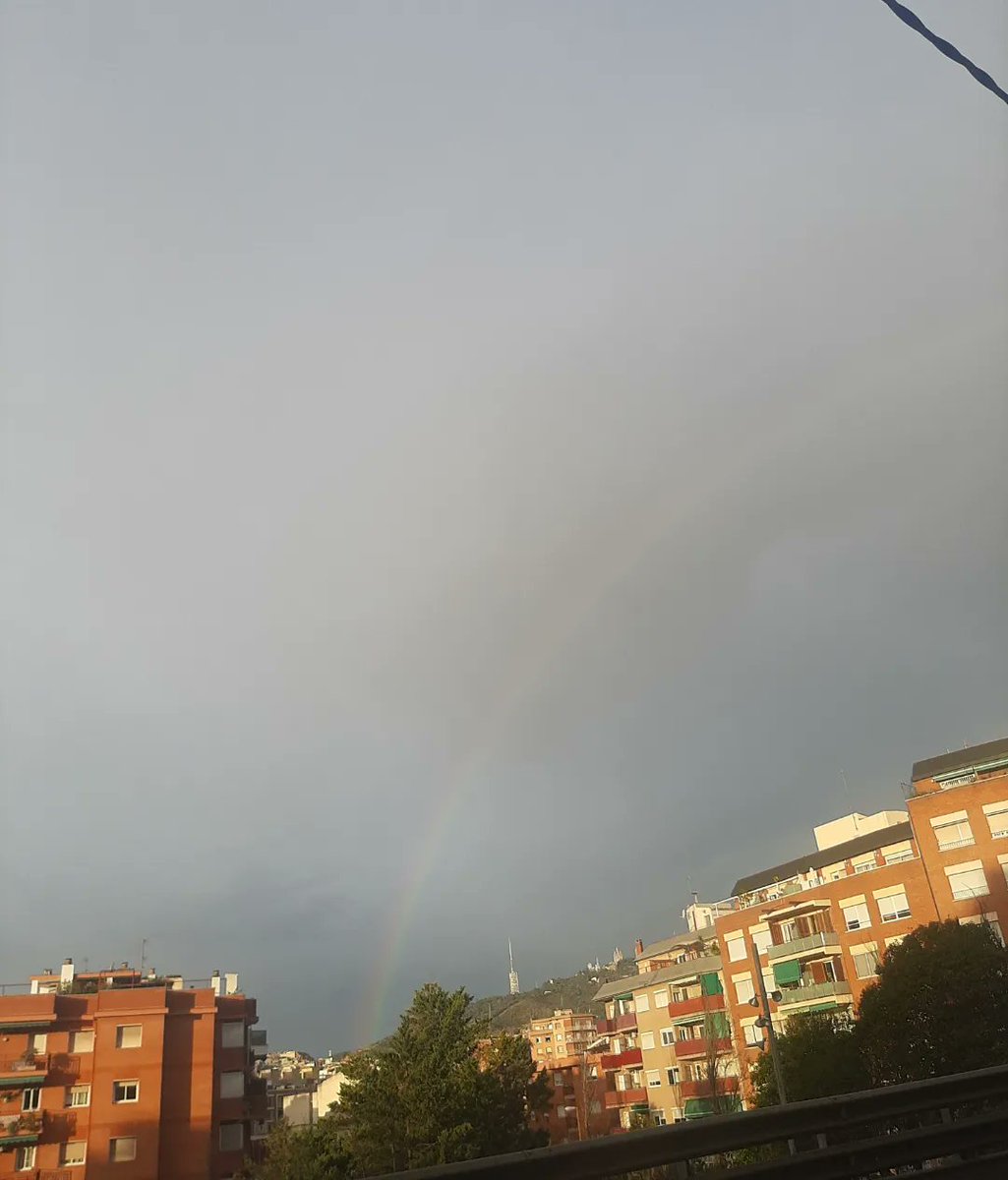 Alba Prieto tweet media