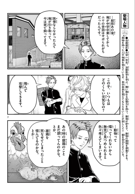 男の子に最期まで愛されたニワトリのお話
3 