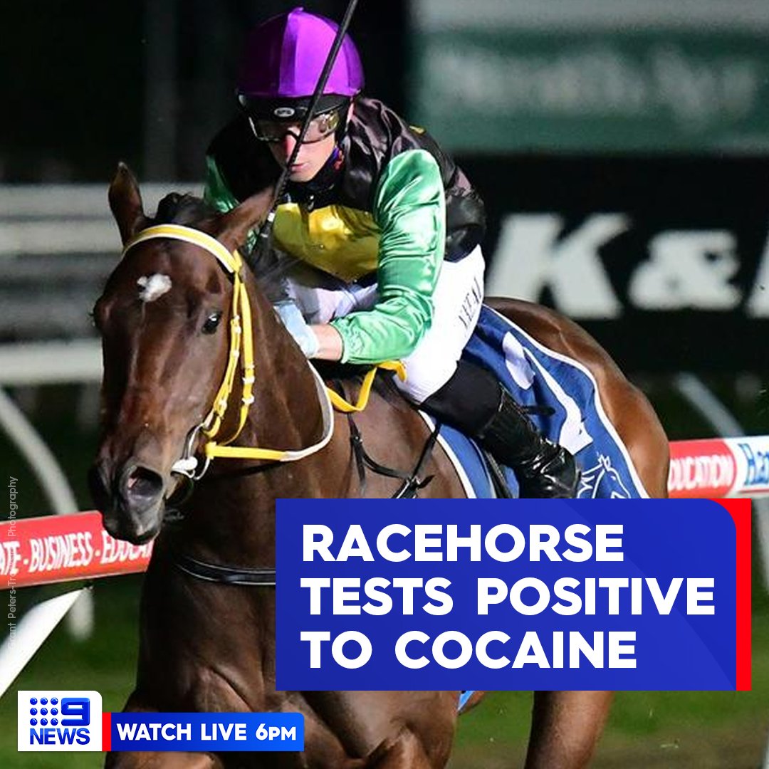 9News Queensland tweet media