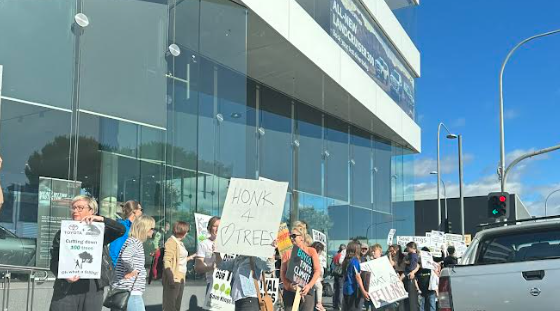 theTiser's tweet image. "Oh what a felling!" Protesters have gathered outside CMI Toyota on West Terrace to rally against the Crows HQ development on Kings Reserve in Torrensville. Latest on the plans: bit.ly/41S4Tzr