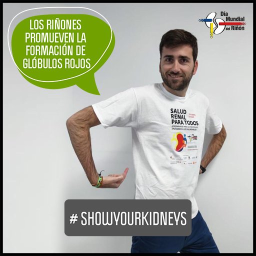 Dr_Bqg's tweet photo. ¡Feliz Día Mundial del Riñón 2023!
📢 ¿Tienen los diputados del Congreso buena salud renal? HOY LO SABREMOS
@Congreso_Es 
#ShowYourKidneys #DíaMundialdelRiñón @SENefrologia @FNALCER @SEDENenfermeria https://t.co/Mv86Q8Yl1g