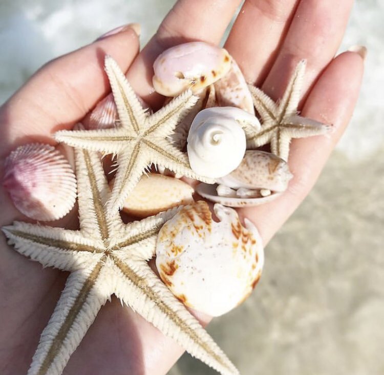 The harvest on the beach in the morning……(｡◕ˇ∀ˇ◕)