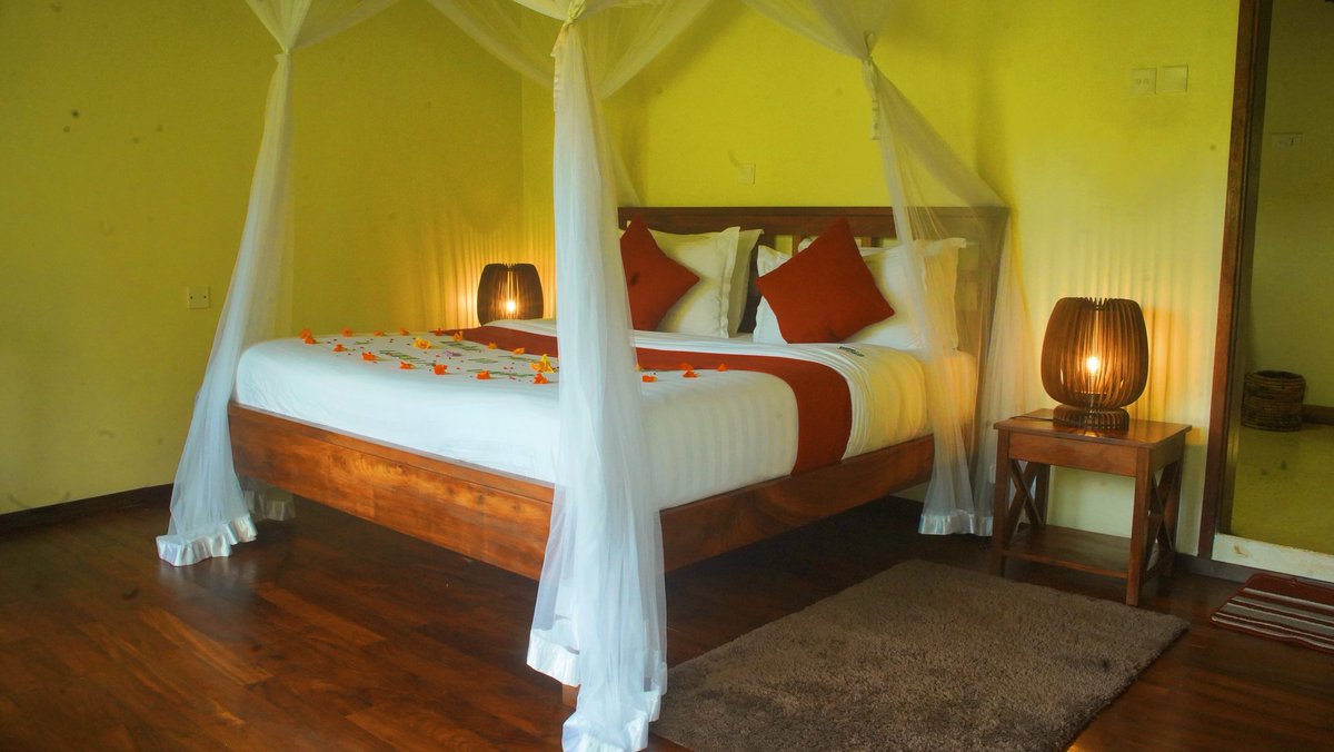 4gorillas_lodge's tweet photo. Our rooms are spacious, airy and comfortable. The beds have luxurious Linen and Pillows that guarantee a good night sleep.

The bed is usually draped with a mosquito netting for added protection against insects like Mosquitoes. 

#fourgorillaslodge #safarilodge #luxurysafari https://t.co/Qi7DE2JiZZ