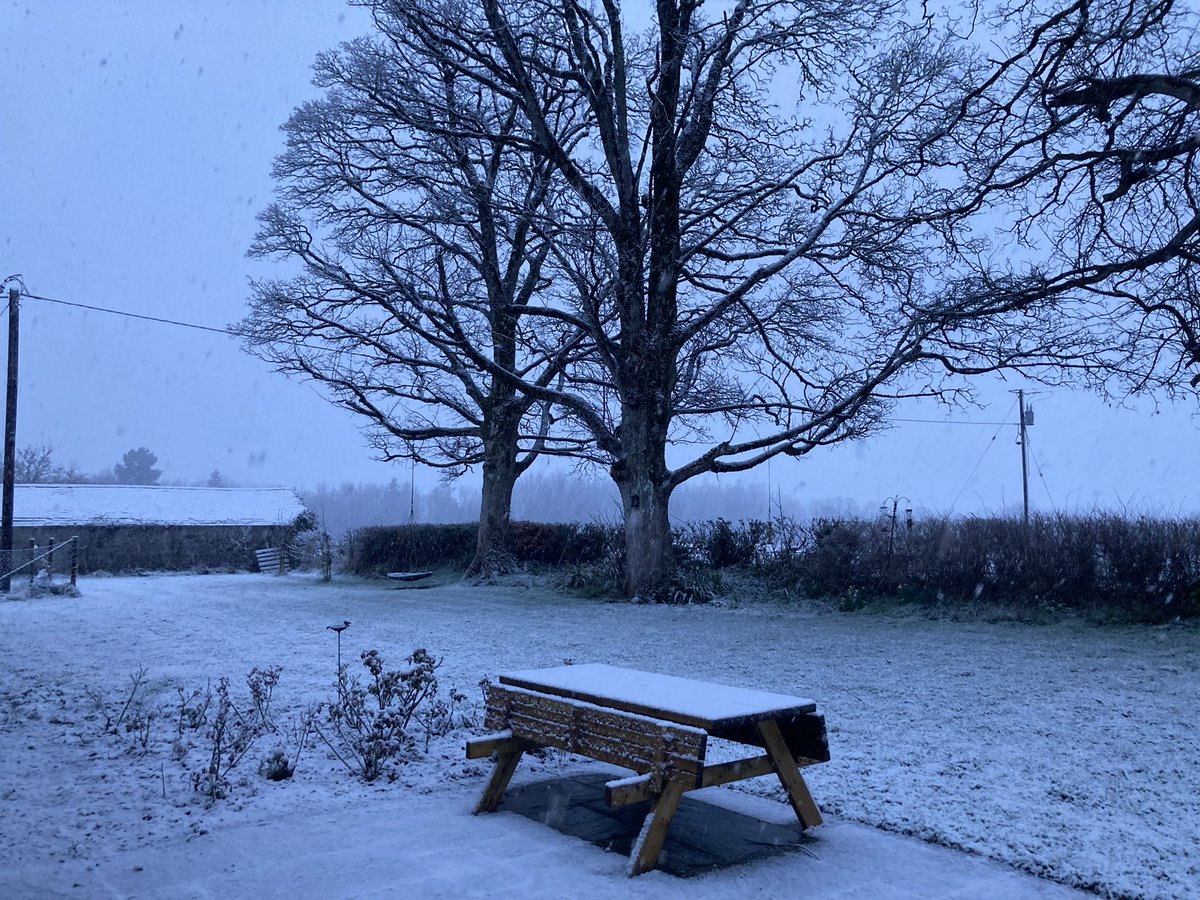 Debsborough tweet media