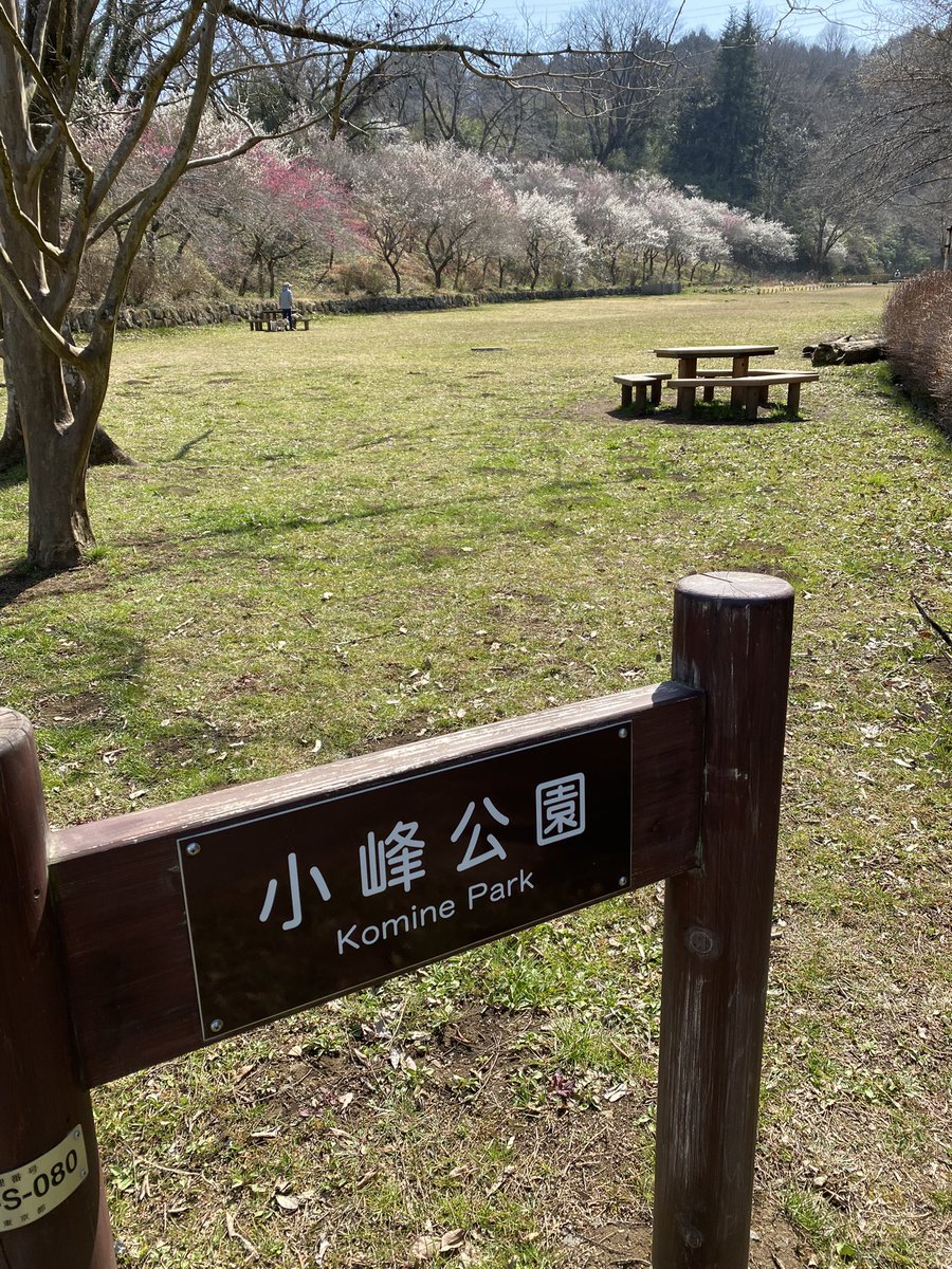 50Kitasan's tweet photo. 昨日のチャリトレは春の花を探しにあきる野市の平高橋から小峰公園まで！気軽に乗れるクロスバイクでサイクリング！梅や桜の花が咲きはじめ、春の訪れを感じました。
#クロスバイク
#escaper3
#東京
#春の訪れ https://t.co/t586cO4f6e