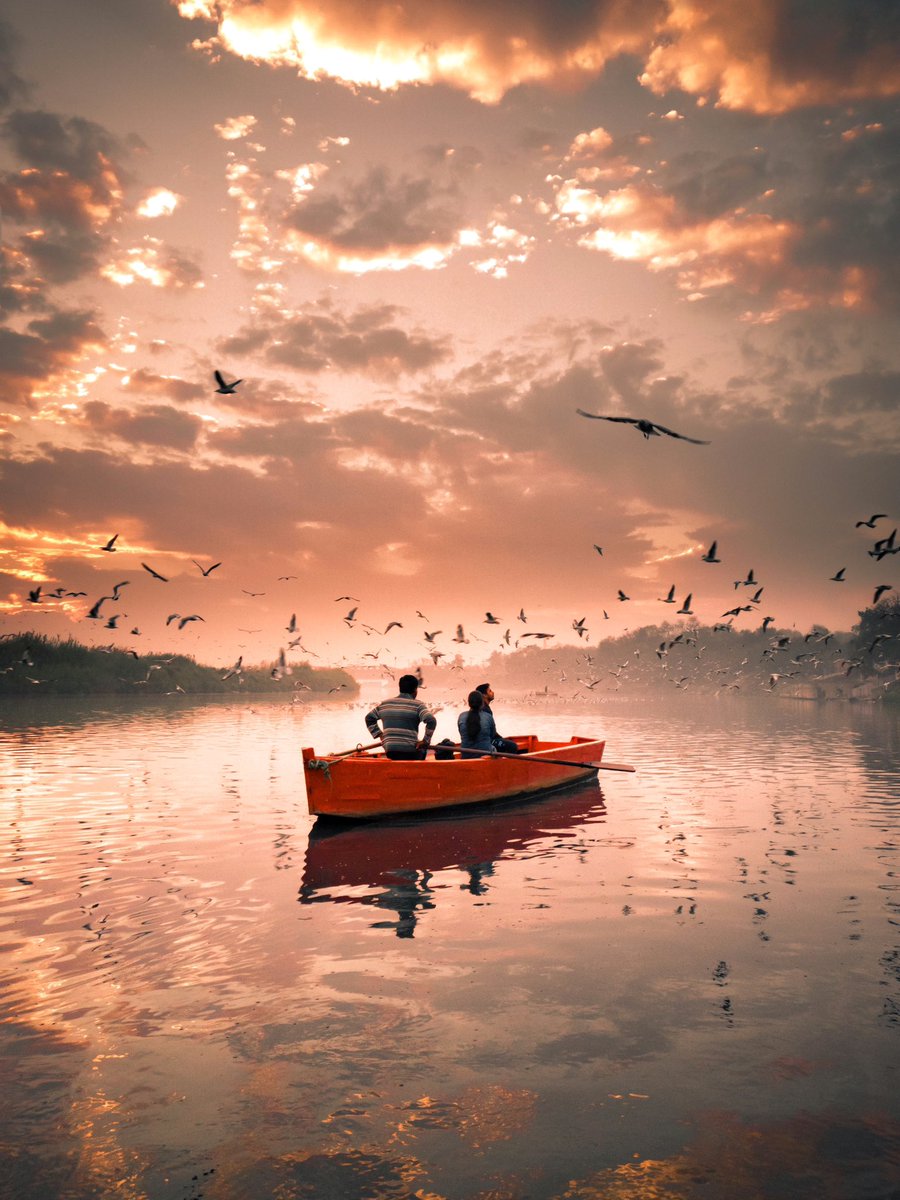 thecursedchild.eth | tweet media