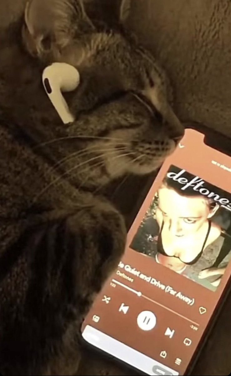 numetal_moment's tweet image. Goodnight