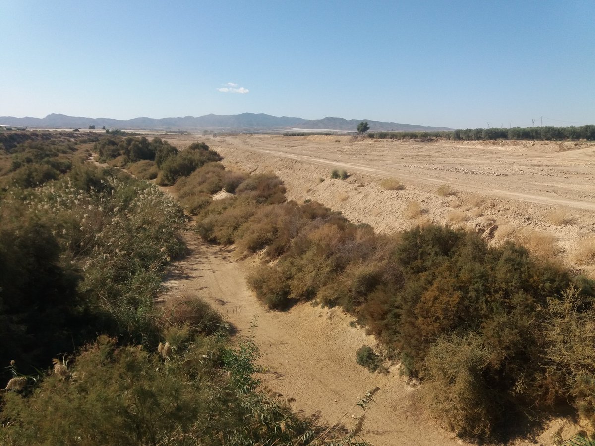 Santiago M. Barajas tweet media