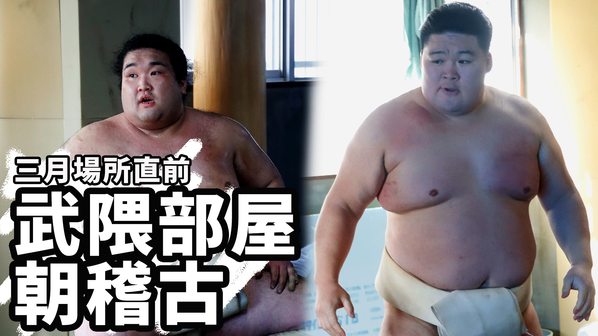 昇進 反物 信じ込ん 豪栄道 大関