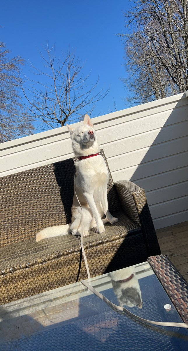 Idag fyller våran lilla goding 1 år🥹, lite har hon ju växt ändå..