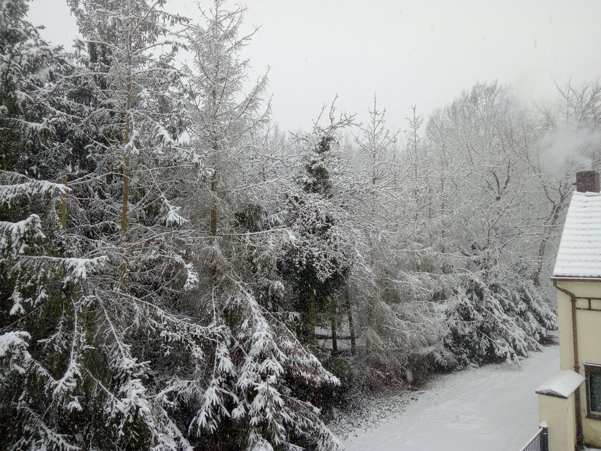 Gefühlt. Ist hier für immer Winter.🫣.