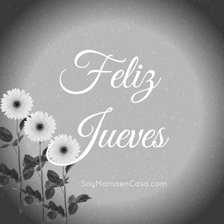Buenos días🌍
Feliz jueves☕🎶
Fantástico día para tod@s💕
Besos🥰y abrazos🤗con cariño🦋
Sean felices🎶💃🥳
            Regalen😁sonrisas!!🌼💕
