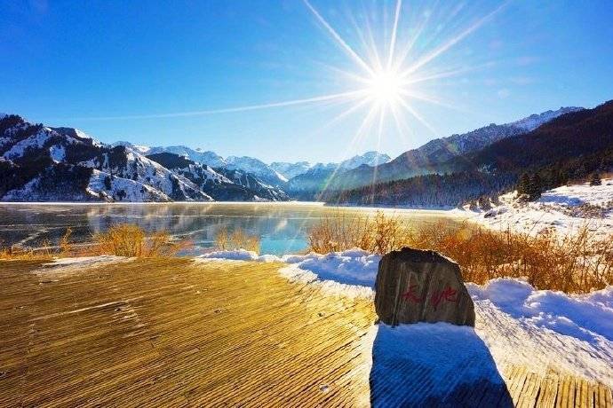 ViVi Tong tweet media