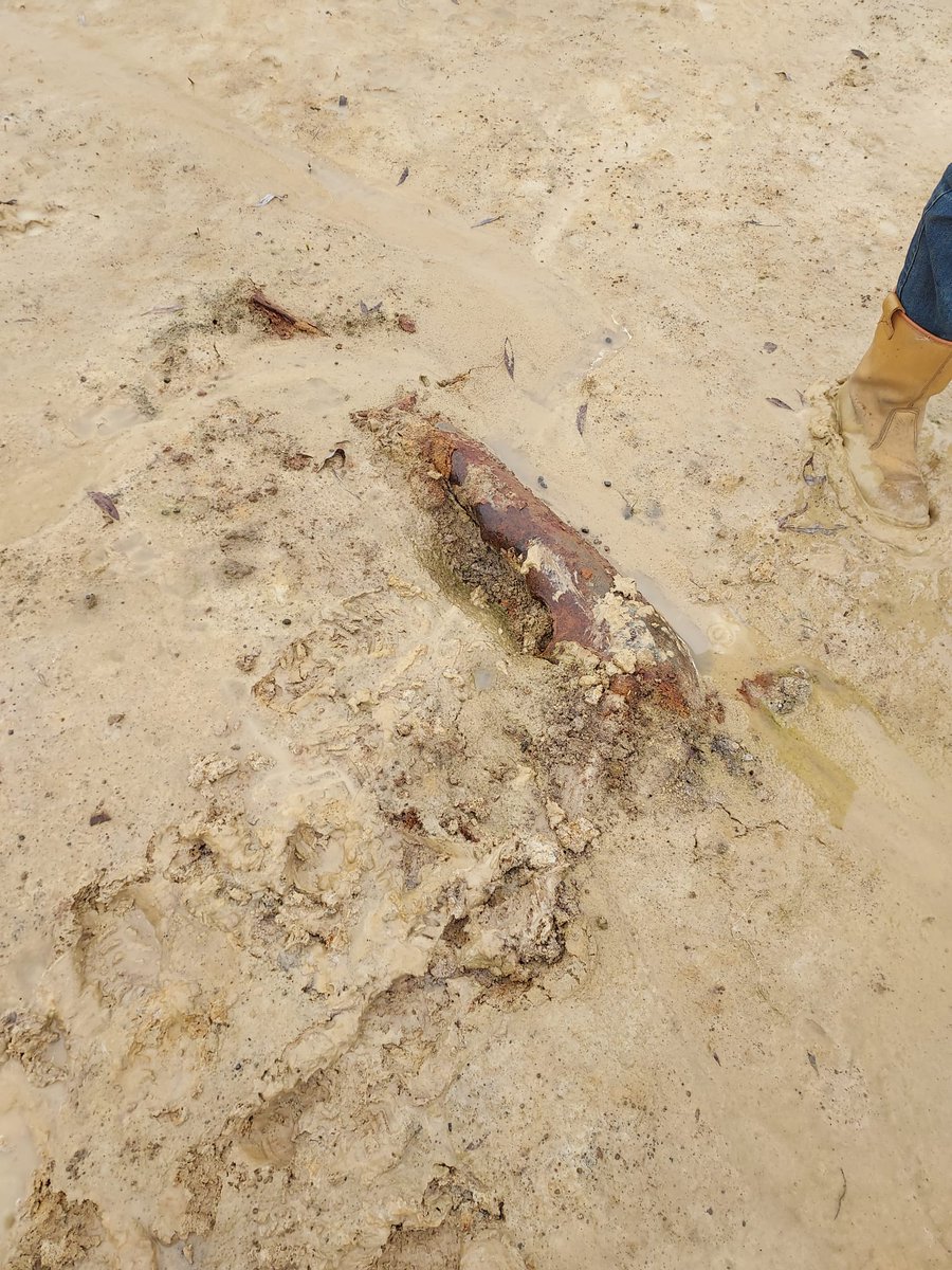 Waterlopen's tweet photo. Gisteren ontdekte projectverantwoordelijke Kathleen in overstromingsgebied de Moorse Plassen zowaar 2 obussen 💣 De aanleg van dit project voor #DrogeVoeten in #Kontich is nog volop bezig en bij terreinwerken kwamen de springtuigen aan de oppervlakte. Wel even schrikken 😱 https://t.co/HChIOaeVRe