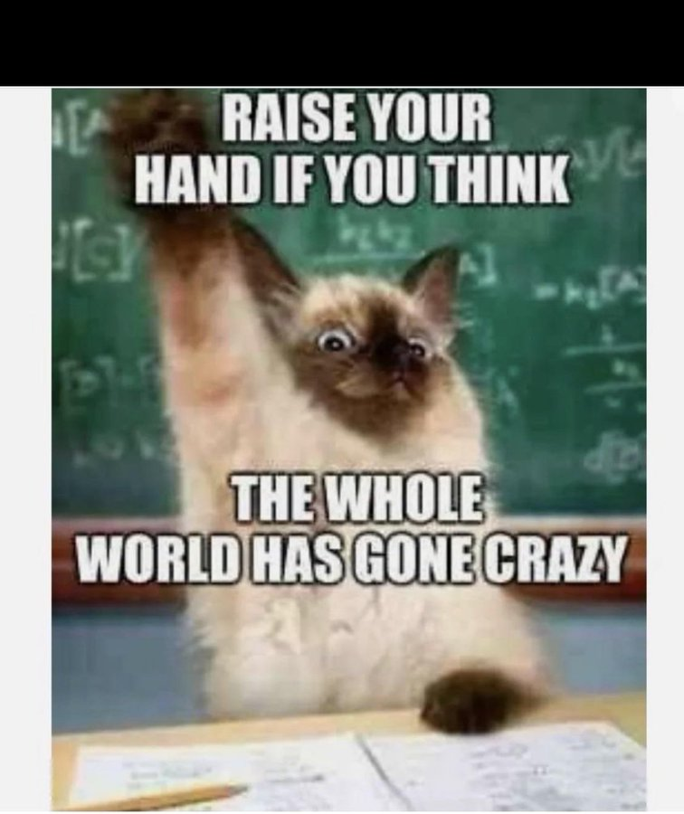 So today I felt funny and though I should ask my high school class:

<a href="/bigdandbubba/">Big D and Bubba</a>