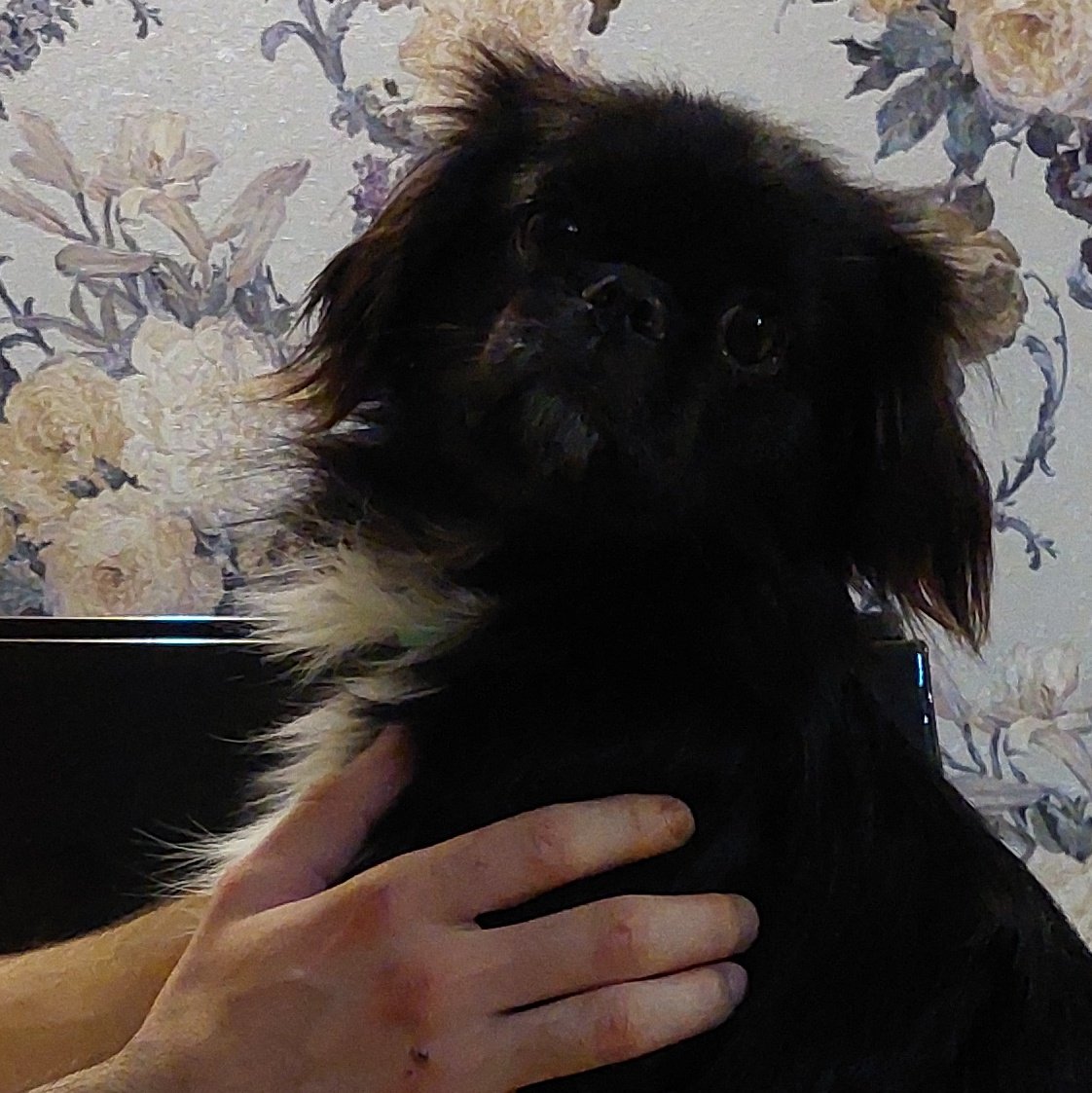 Jessieni gorun biraz #YeniProfilResmi