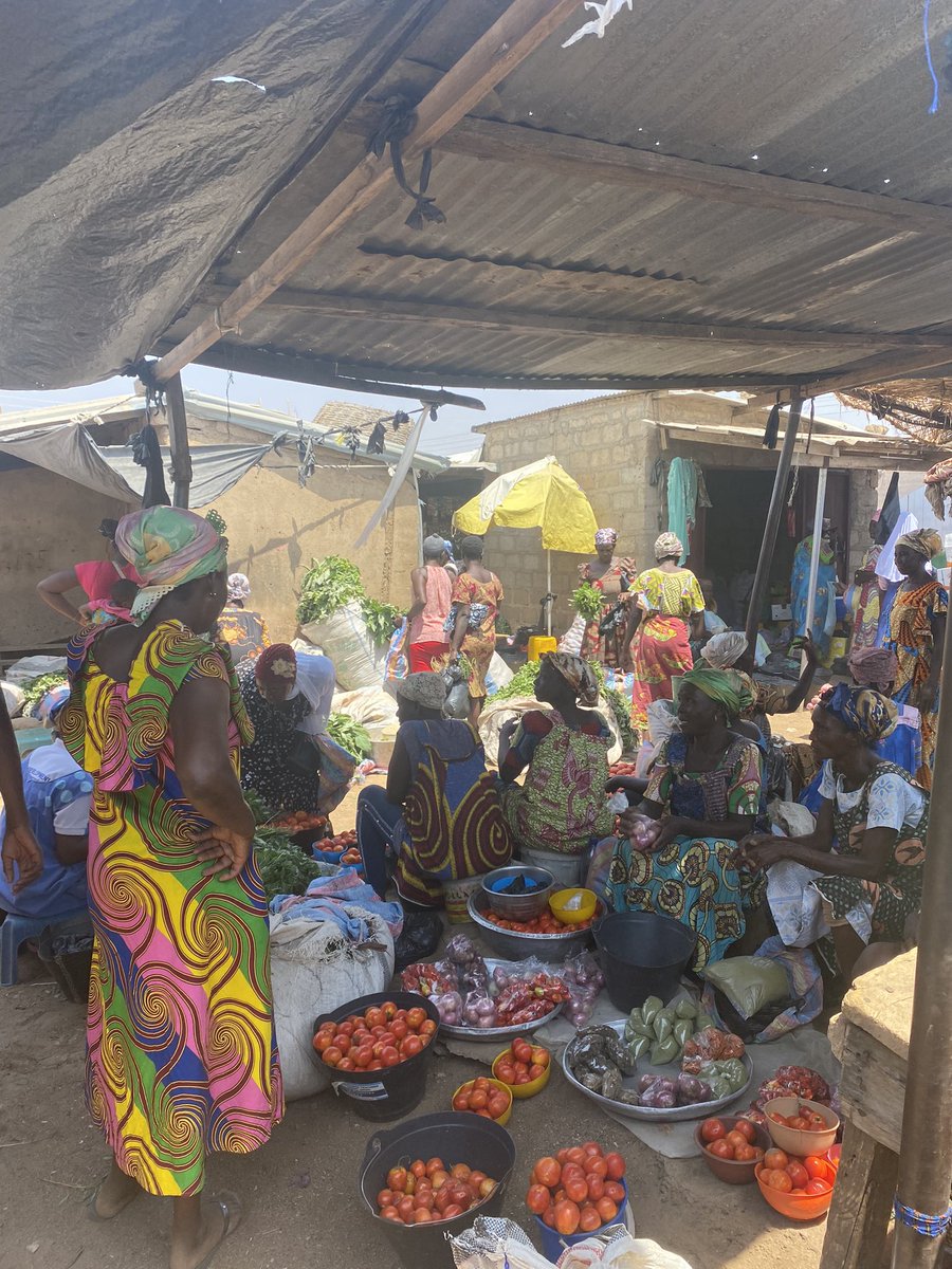 Market day in Bolgatanga, Ghana. Shea butter, veggies, & so much more brought in from the surrounding communities. #PhD #Fieldwork #NaturalResourceManagement