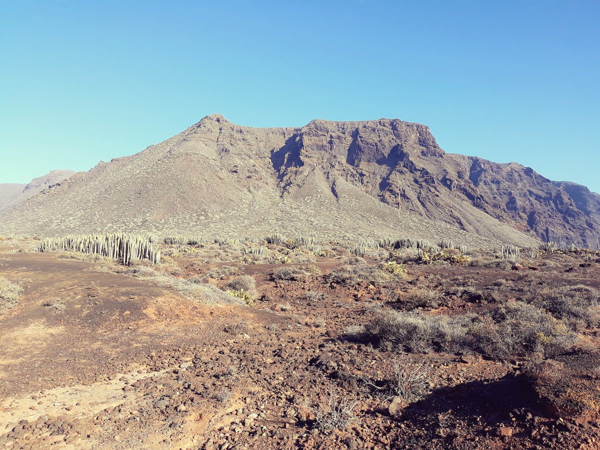 Teno massif Tenerife Island views 
📷 📸 📸📸📸📸📷
#Tenerife #Tours #tourism #travelphotography #traveling #travellers #travel #nature #NaturePhotography #NatureBeauty #naturelovers #naturepositive #GoodVibes #lifestyle #landscape #holiday #holidayshots #holidays #PicOfTheDay