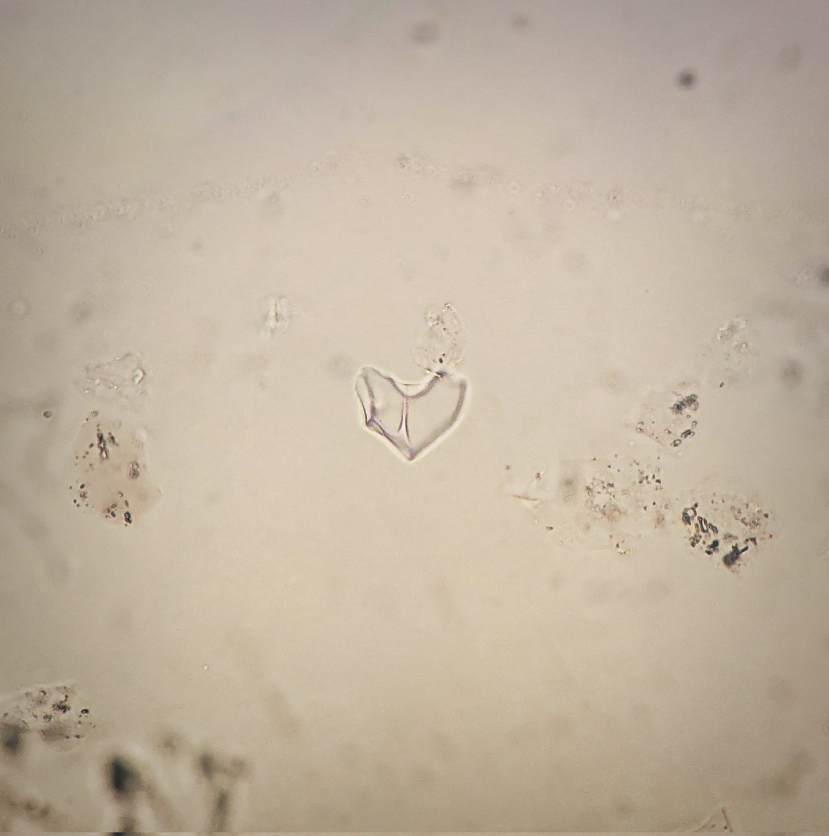 When your PhD shows you some love, you know it's going to be a good one 🥰