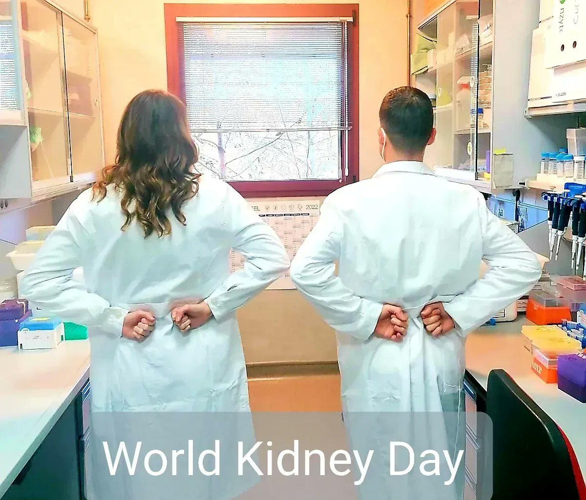 CristinaVegaLab's tweet image. @CristinaVegaLab @Complemento3CM committed with the #WorldKidneyDay2023 to think about this vital organ &amp;amp; join efforts to improve the treatment of renal diseases, including complement-associated diseases, and the everyday care of our kidneys #KidneyHealthForAll #ShowYourKidneys.