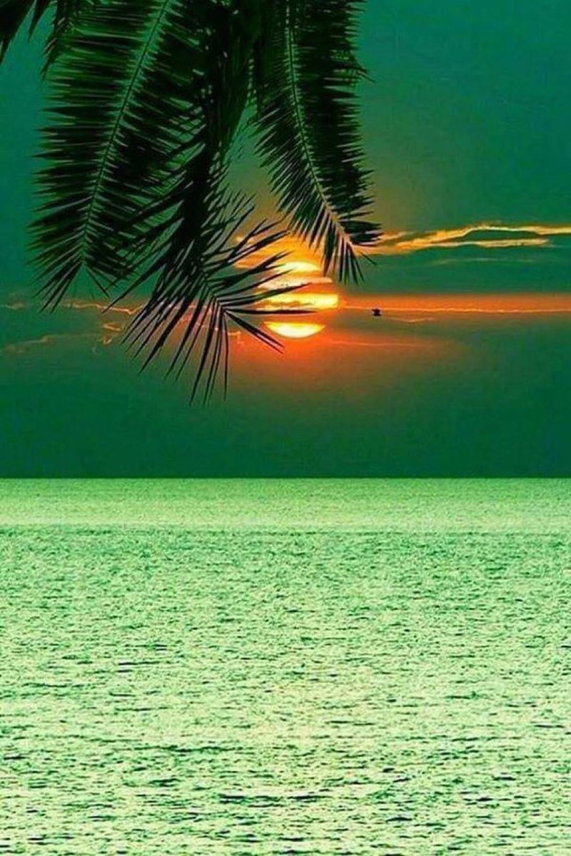 Haluk Sirin (@halukss) on Twitter photo 