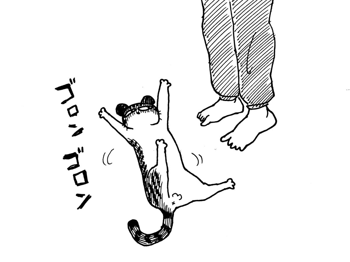 3/9
デンちゃんが床で転がる季節になってきた 