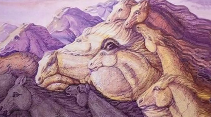 How Many Horses Do You See?

#opticalillusion #quiz #mindsjournal #themindsjournal