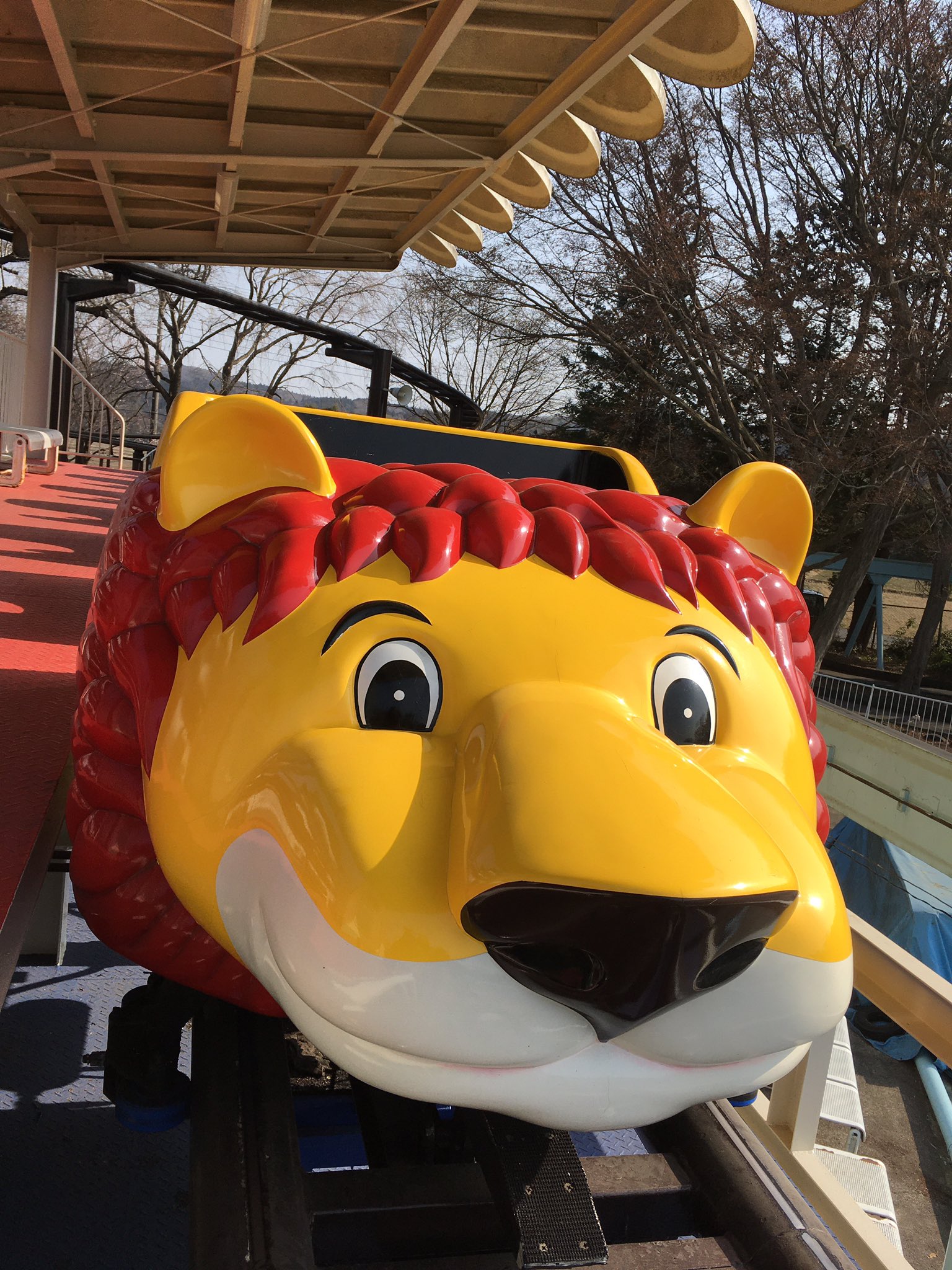 宇都宮動物園【公式】 on X: 宇都宮動物園【公式】 on X: