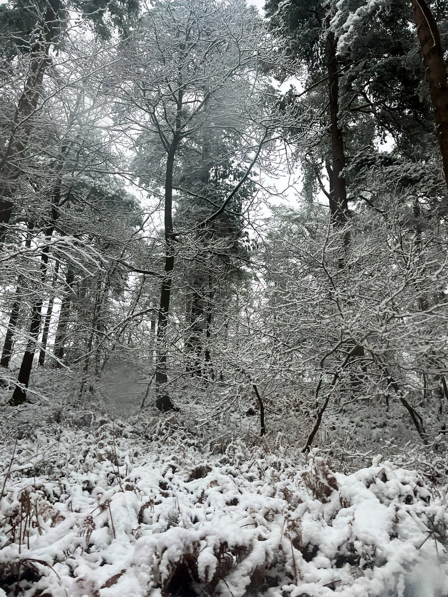 stellarkettle's tweet photo. First day of snow @MSSLSpaceLab this season! https://t.co/wdN0U2ZsRL