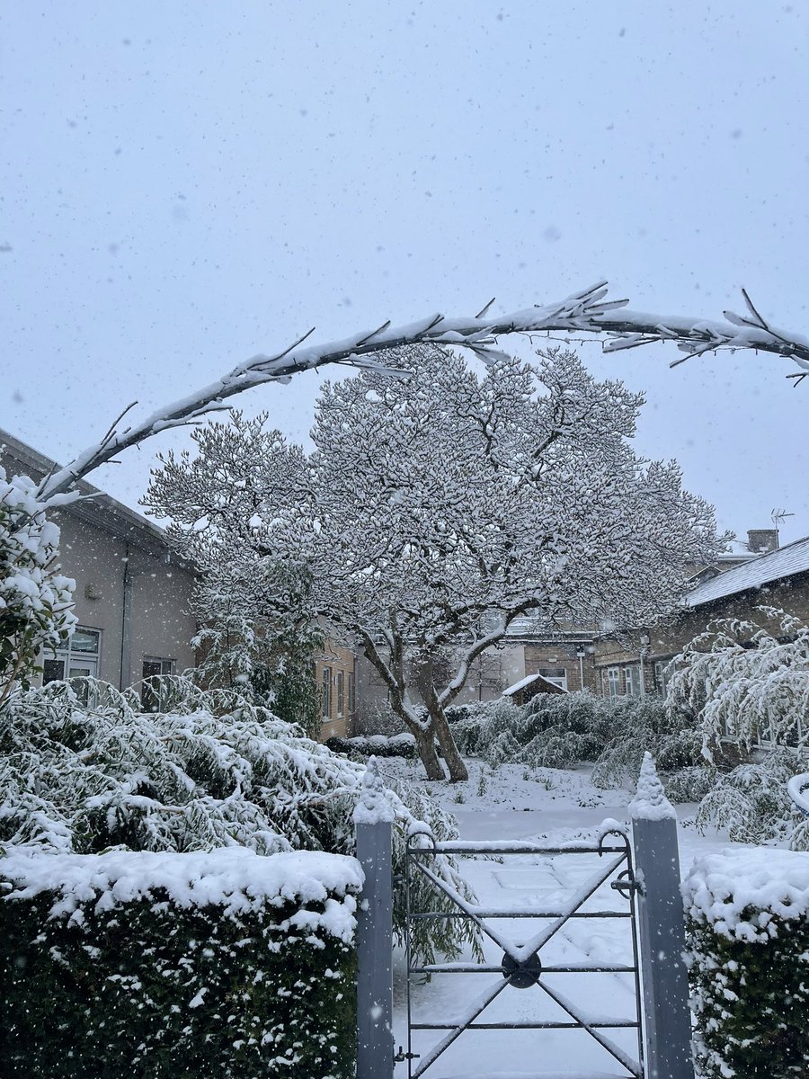MCSI_RJAH's tweet image. Our beautiful @HoratiosGarden in the snow. Beautiful whatever the weather. ❄️ #horatiosgarden #spinalinjuries
