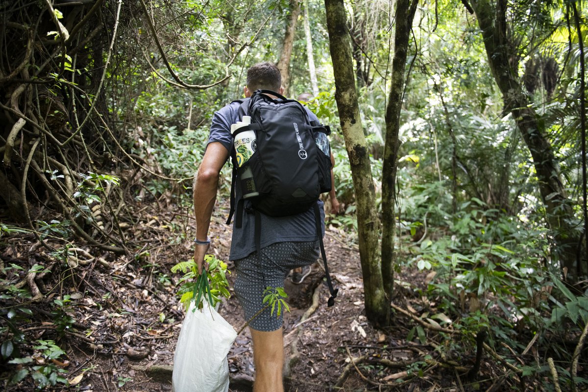 Going for a calming walk in nature can provide several benefits to both physical and mental health 🌎💚
🌱 Reduces stress
😊 Improves mood
🎨 Boosts creativity
🏃‍♂️ Enhances physical health