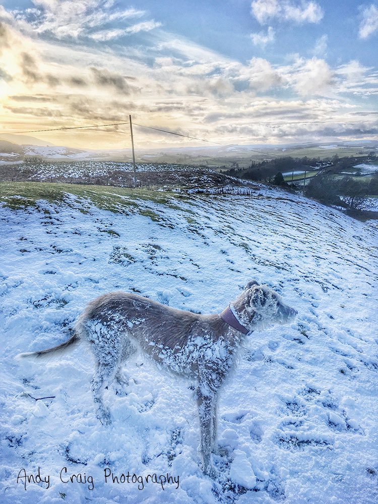 “Some people hate the snow” said the man.  

“It depends how you look at it.” Said the dog. “It’s beautiful and it can be quite fun. Also a chilly day makes you appreciate your warm home” 

So they looked together at the good things a snowy day brings them headed home to warm up.