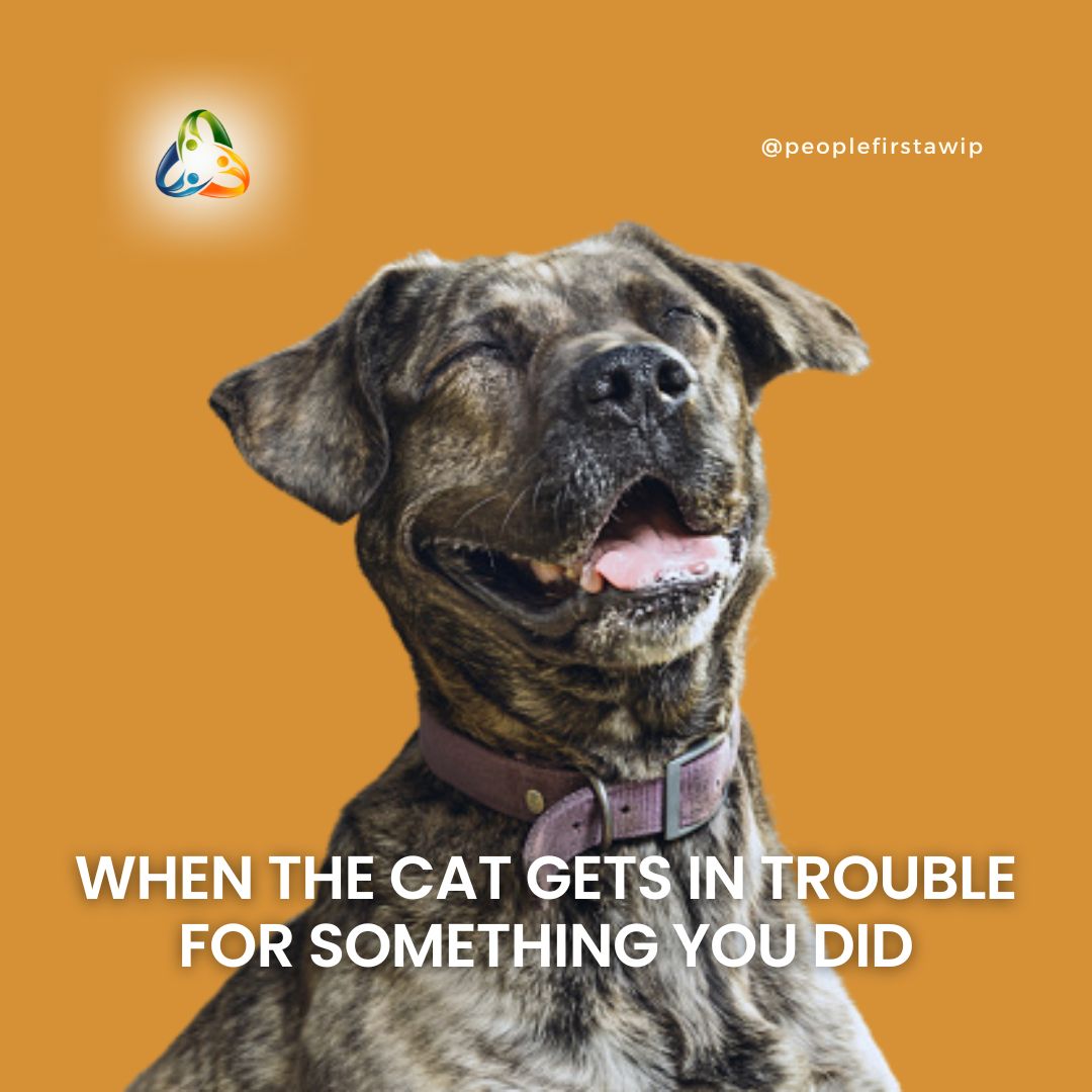 Wishing you could stay out of trouble? Take my advice  👀

#dogmeme #petmeme #catanddog
