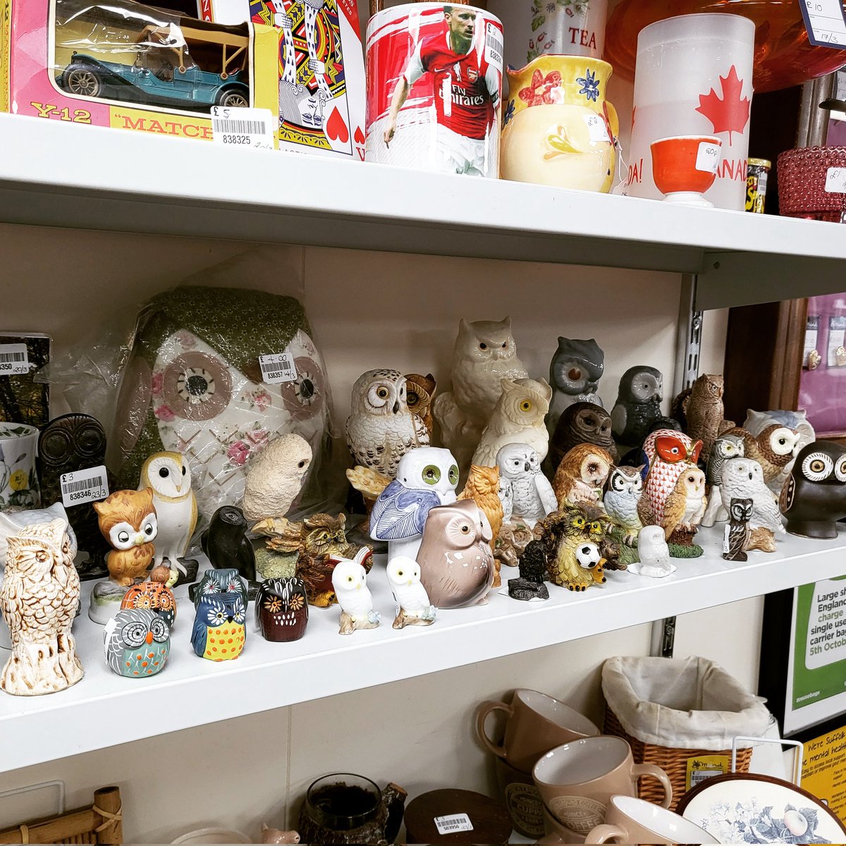 MindBuryStEds's tweet photo. Have you heard about the owl party? It was a real hoot.
#mymindshops #burystedmunds #charityshop https://t.co/WAKHUzUyM1
