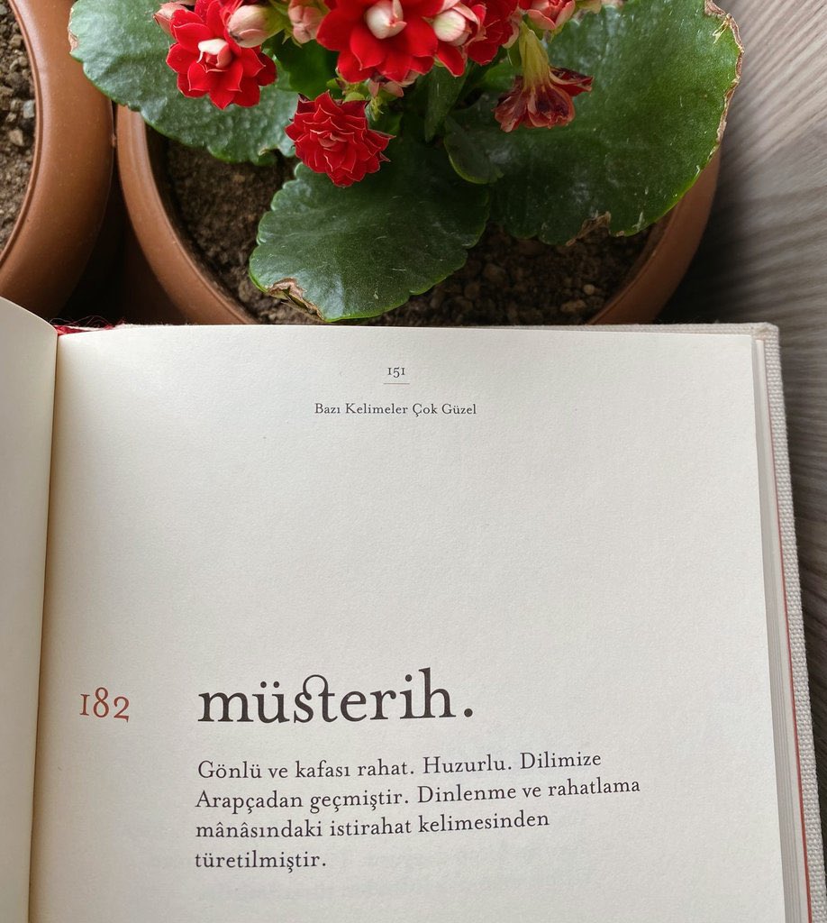 İki sene önce öğretmen atamaları için yaptığım bir haberde ‘müsterih olun’ diyerek bir tweet attım. Halen bu kelimenin ekmeği yeniliyor. 
…
Neyse ne diyorduk. Artık müsterih olmalarının zamanı gelmedi mi?  #nebekleniyor