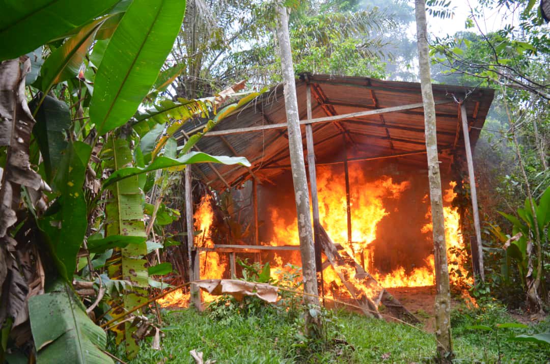 Cumpliendo orden del CJ <a href="/NicolasMaduro/">Nicolás Maduro</a>, en Operacion “Relámpago del Catatumbo 2023” <a href="/GNB_antidrogas1/">Antidrogas GNB</a> de la #FANB desmantela  y destruye Campamento #TANCOL para el procesamiento de Clorhidrato de Cocaína, ejecutando la incineración in situ de drogas, químicos y material logístico.