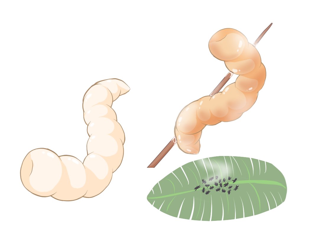 今日は久しぶりに食品アイテムを描いていました。
本日の品目は以下の通りです。

①汲んだままの生水、煮沸した水、スライムのスープ的なやつ
②焼いたウサギ肉、茹でたヒルみたいなやつ、焼いたでかいワームの切り身
③生のイモムシみたいなやつ、焼いたイモムシみたいなやつ、炒った蟻みたいなやつ 