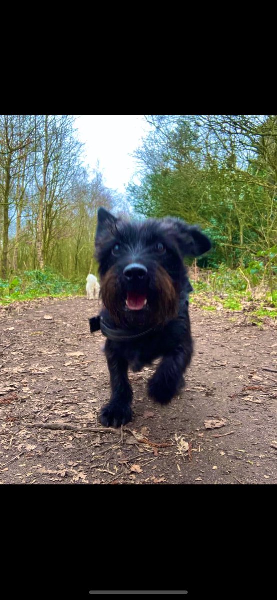 Lindsey Evans tweet media