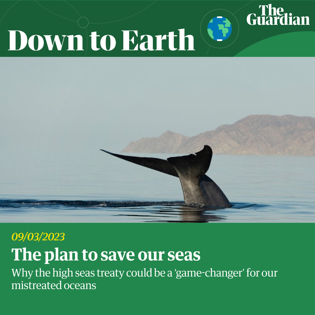 Today's Down to Earth newsletter explores how a new treaty could be a 'game-changer' for our most mistreated oceans.

To read more environmental features, sign up for free: theguardian.com/downtoearth-tw