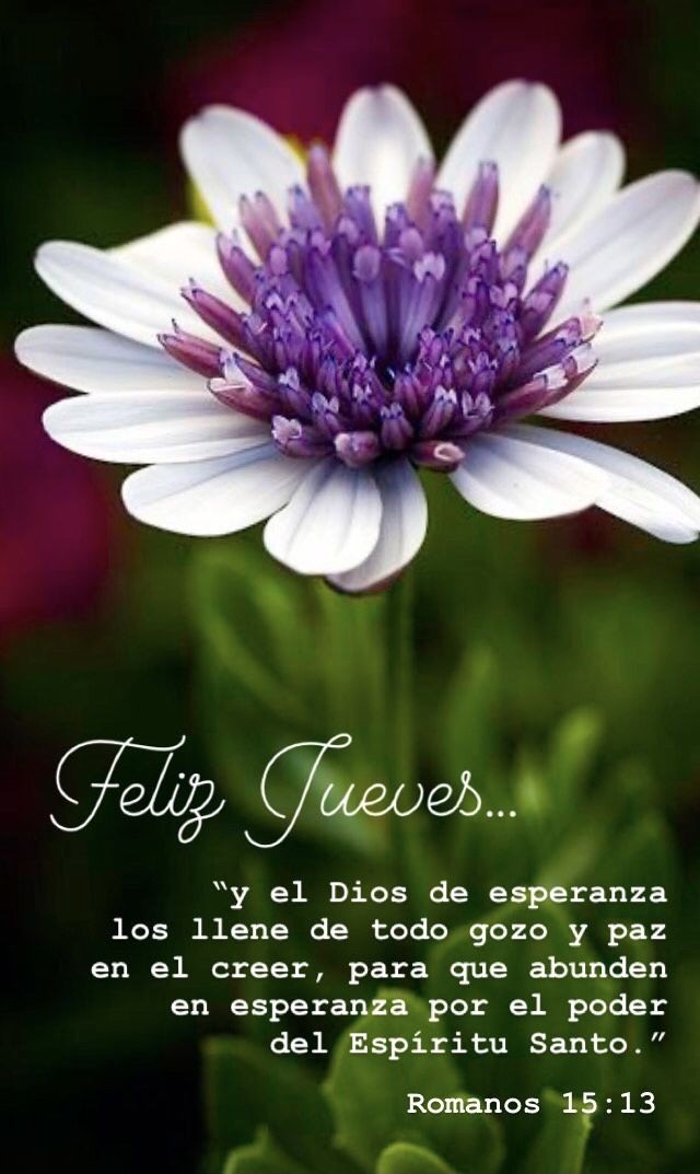 Aunque tú mente esté confundida tu ❤️ siempre sabe la respuesta ❤️
<a href="/jpereiragarcia/">José Pereira</a> <a href="/MkPatriota/">Mildre Patriota</a> <a href="/Yanir3P/">Yanir3 Pim3nt3l</a> <a href="/salvador_perezv/">Salvador Pérez</a> <a href="/nohemy08496777/">tuiteros de la patria</a> 

#ChávezSiempreChávez