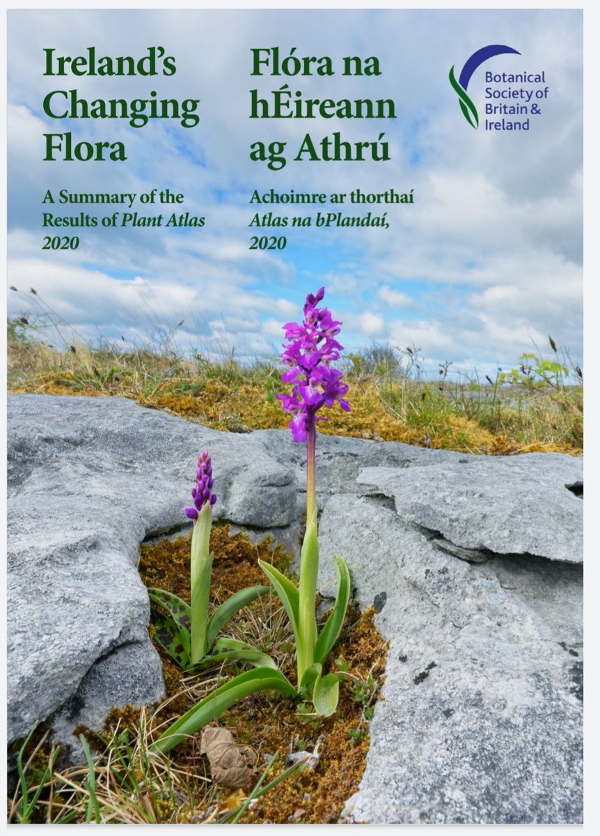 JAMES MORAN tweet media