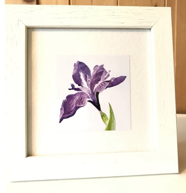 MormorJan's tweet photo. @MHHSBD Yes! It’s Day 9 of #MHHSBD #AlphabetChallenge the letter is I . Here is my adorable home decor gift a decorative framed print of my IRIS watercolour https://t.co/w3rwjtOeky #SMILEtt23 #MothersDay2023 #elevenseshour https://t.co/Cz3I9uz1wC