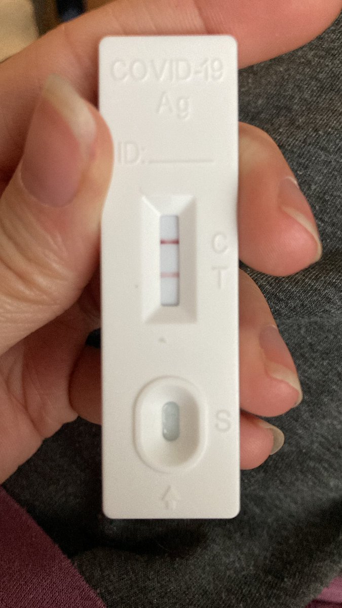 RuthBouillon's tweet photo. @Ine_H_ Same, sinds gisteren knal positief getest 😔 Ik ga ook eens naar Maneskin na een uitstel van 2 jaar, zenne. 😢 https://t.co/ssWHGP5iaq
