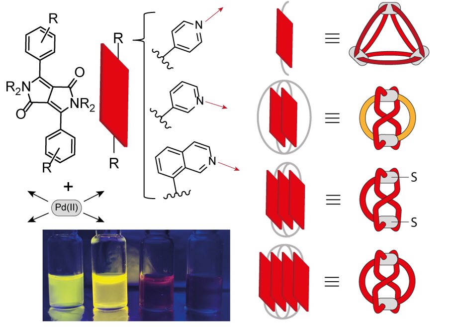guido_clever's tweet image. Read and see with your own eyes how @IreneBenzop mastered the „Precise Engineering of Diketopyrrolopyrrole Chromophore Stacks“ by metal-mediated assembly in our SSRN #preprint together with @sascha_feldmann lab @Harvard. Link: dx.doi.org/10.2139/ssrn.4…
