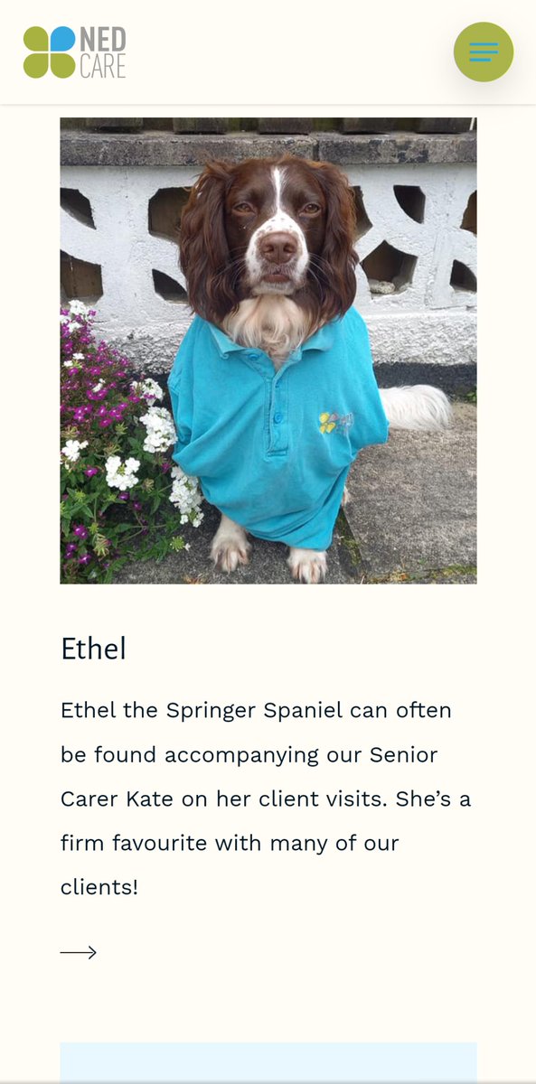 mrmaximart's tweet photo. This is Ethel the Nedcare Befriender. Our Dylan wonders if he can have a uniform too North East Dartmoor Care - NEDCare https://t.co/pD50r3iFsw, all sorts 😇 @NEDCare https://t.co/PQMvFszLZa