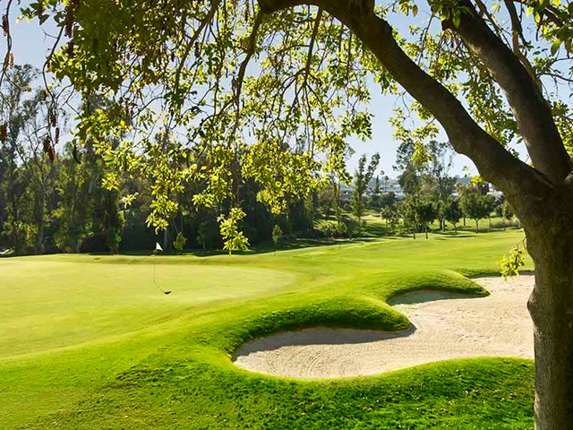 Aloha Golf Club selecciona al gabinete británico de arquitectos de campos de golf Lobb + Partners para su proyecto de reconstrucción de los greens de Javier Arana ⛳️👇 bit.ly/3l25Rby